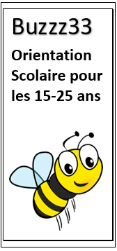 logo Buzzz33 Orientation scolaire