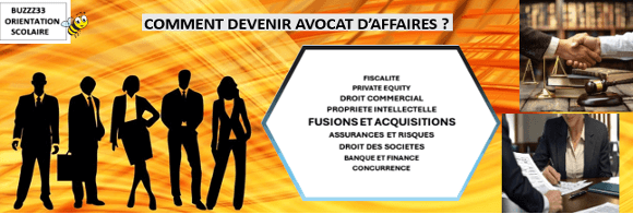 Quelles études pour devenir avocat d'affaires?